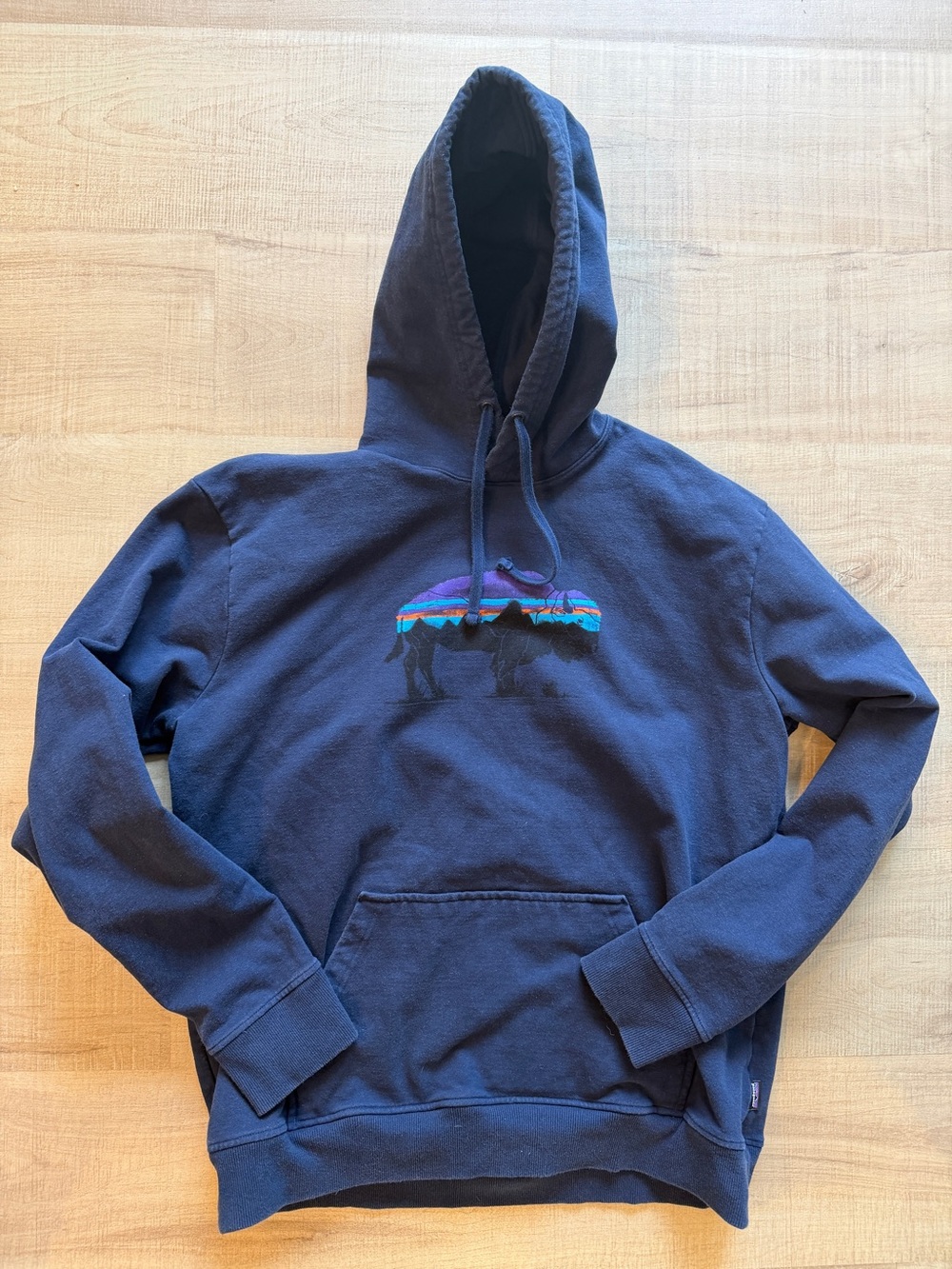 Patagonia Hoodie